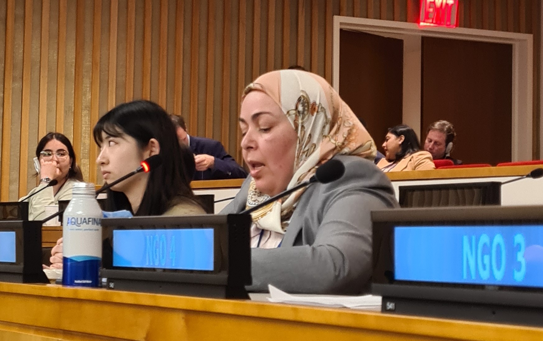Rabea Abouras MP presenting the parliamentarians statement to the NPT Prep Com at the United Nations in New York.