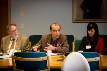 Roundtable on humanitarian consequences of nuclear weapons, Norwegian Parliament, 2013