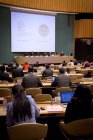IPU Panel on the Role of Parliamentrarians, OEWG 2013
